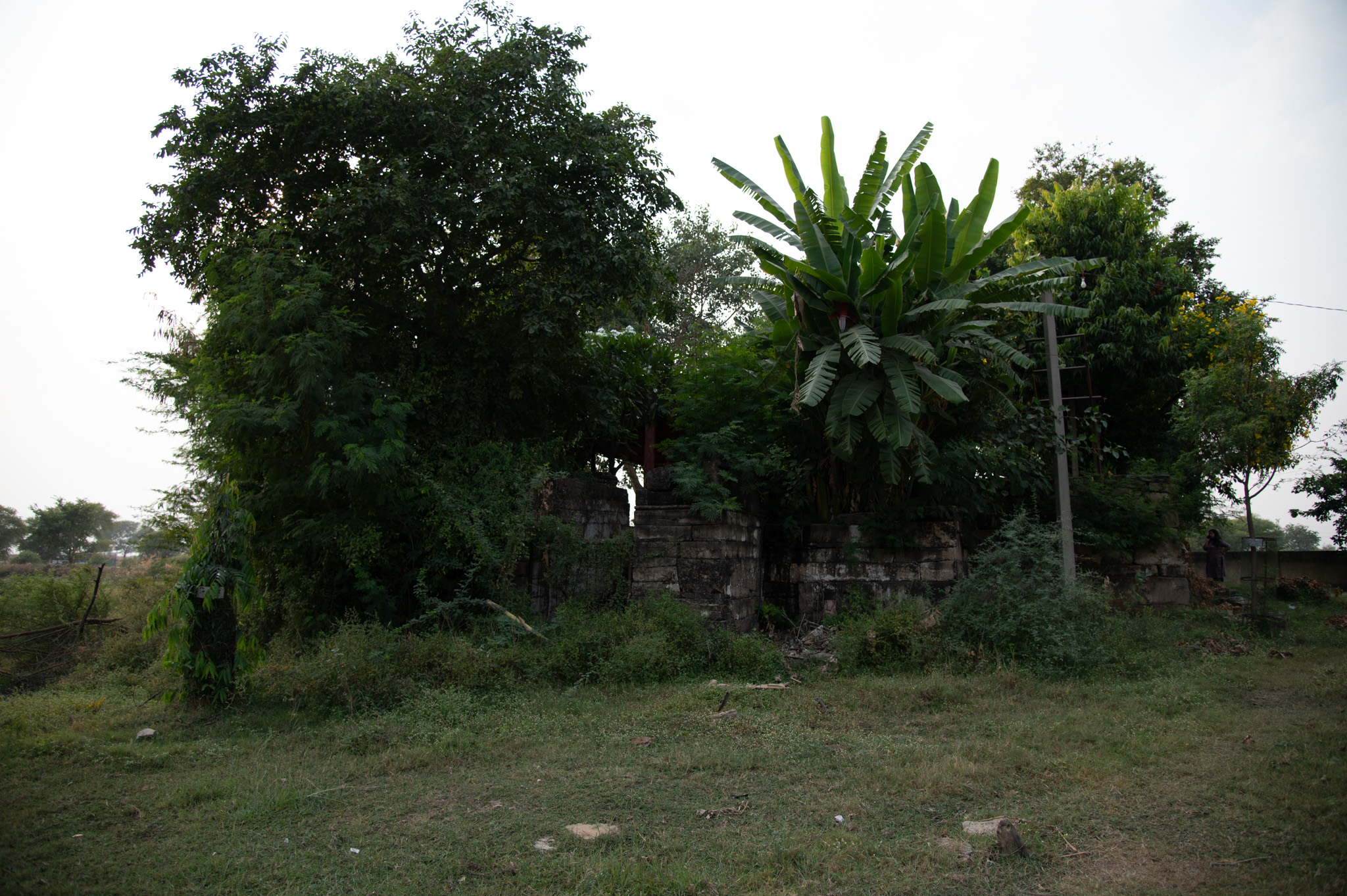 The entrance gate to the Mahakal Temple, which is currently enclosed within a boundary wall and thickly surrounded by flora, is now accessible through a metal gate followed by stairs leading to the surviving temple structures. It is likely that this gate once served as the main entrance, given its alignment with the garbhagriha.