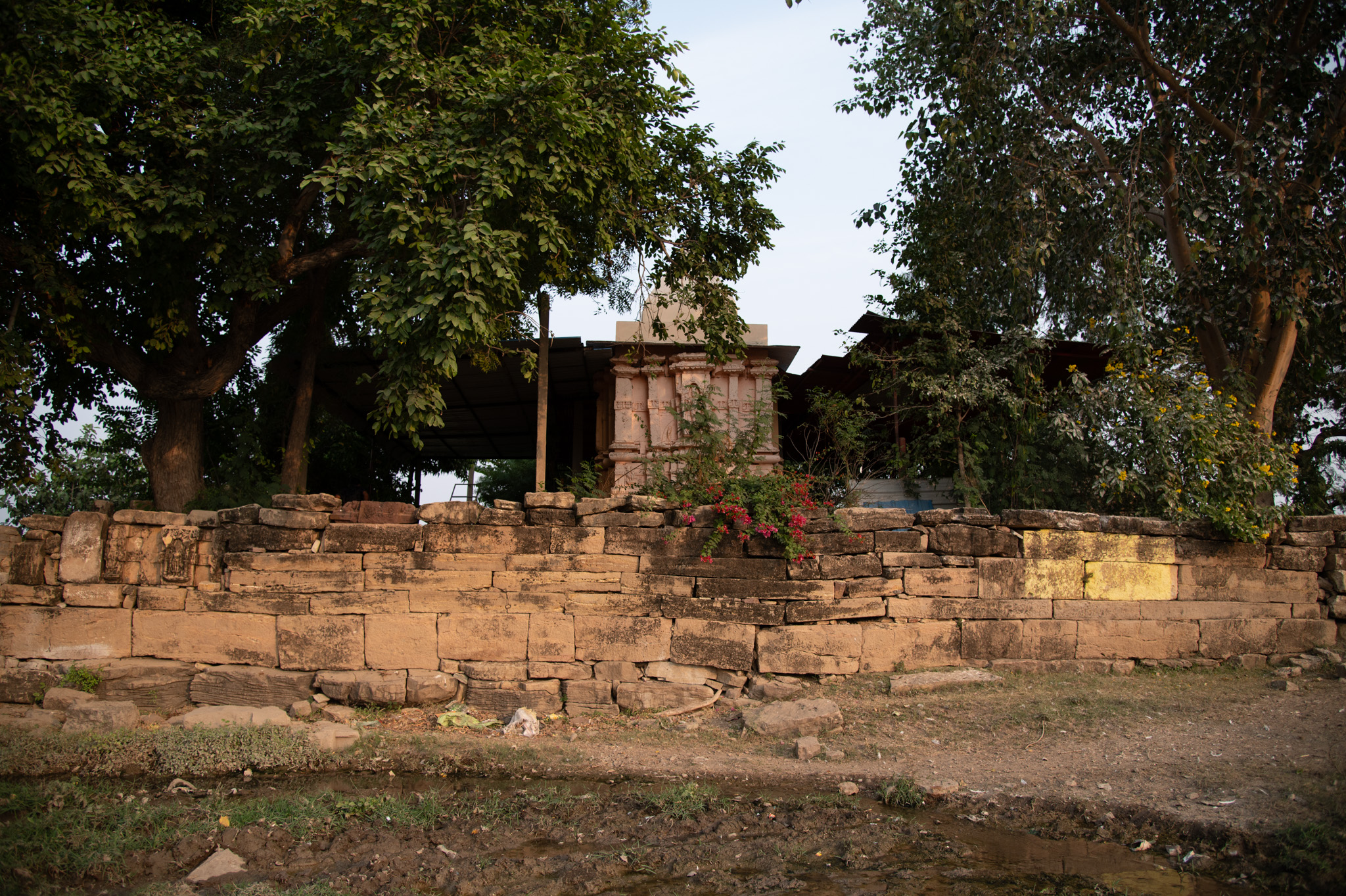 The temple's rear side faces the road. The garbhagriha's rear portion has a jangha and a shikhara. It is noticeable that the shikhara is plain and simple, unlike the jangha, indicating that the shikhara is likely a later renovated structure. A boundary wall of broken parts and fragments surrounds the temple. The present temple complex is home to a variety of trees and plants, echoing ancient descriptions of temples often nestled in groves, reflecting the belief that gods preferred to dwell in nature (groves).