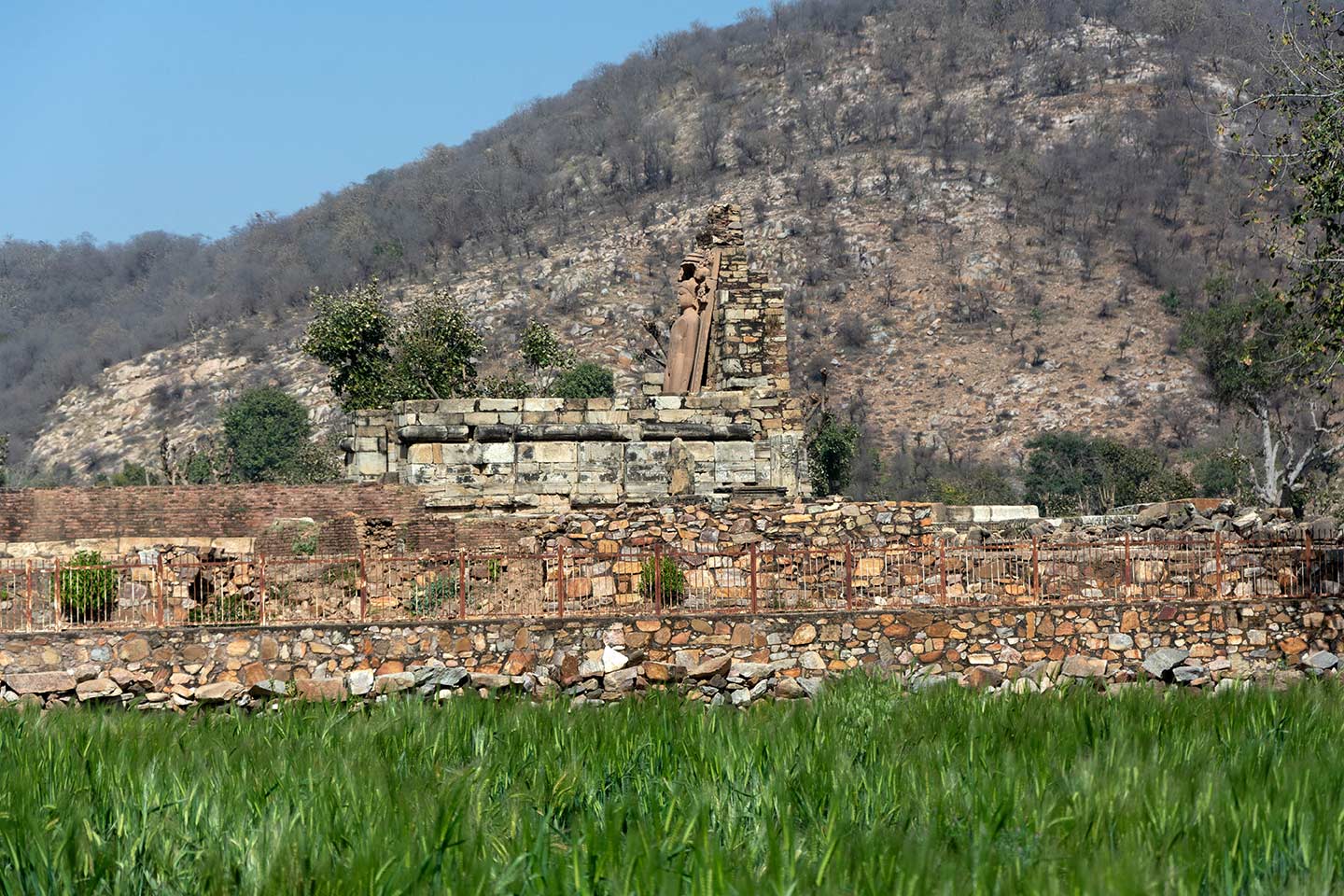 Image 1: Seen here is the view from the north of the Naugaza Shantinatha Temple. All that remains of the temple is its plinth and the colossal Jina image enshrined in the temple, which can be seen from far away. The Naugaza Temple has a garbhagriha (sanctum sanctorum), mandapa (pillared hall) and mukhamandapa (front porch) in plan. The remains of the superstructure have not survived. The plinths with elephant and human figure friezes demarcate the original plan of the temple.