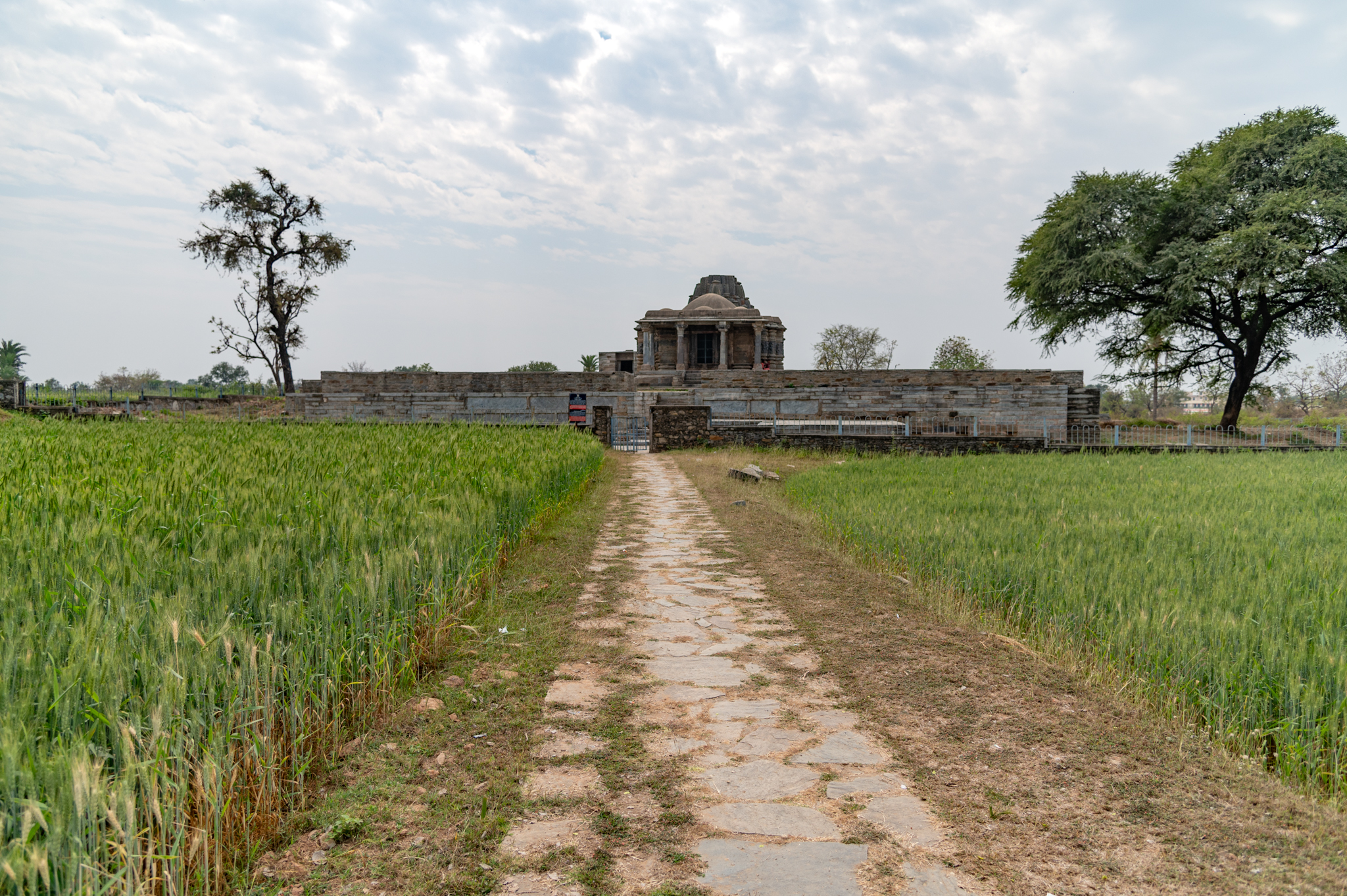 The road that leads to the Jain Temple is situated amidst agricultural fields.