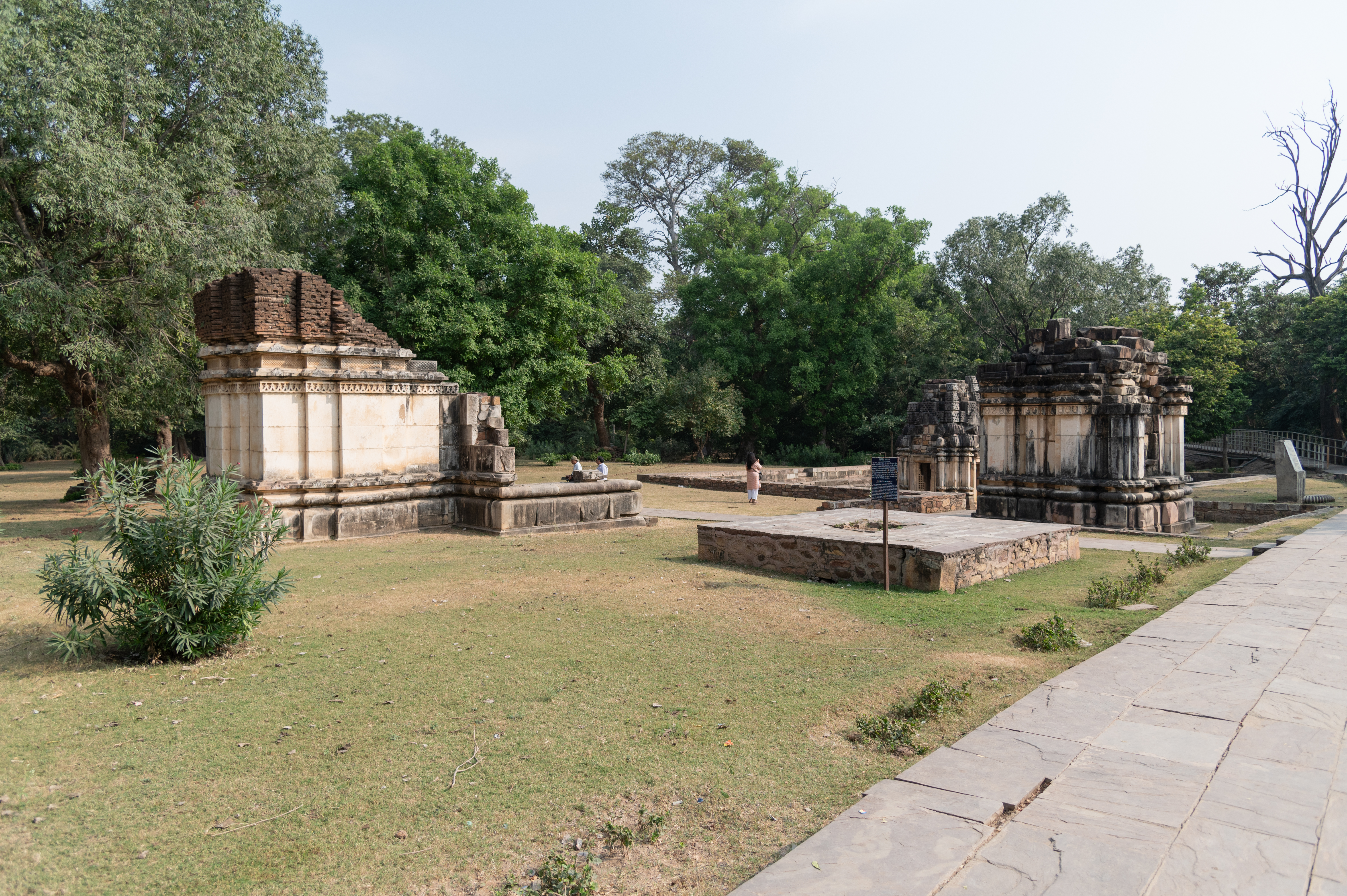 Image 1: Rear view of the Shiva and Sheshashayi Vishnu temples, Cluster 1, Baroli group of temples.