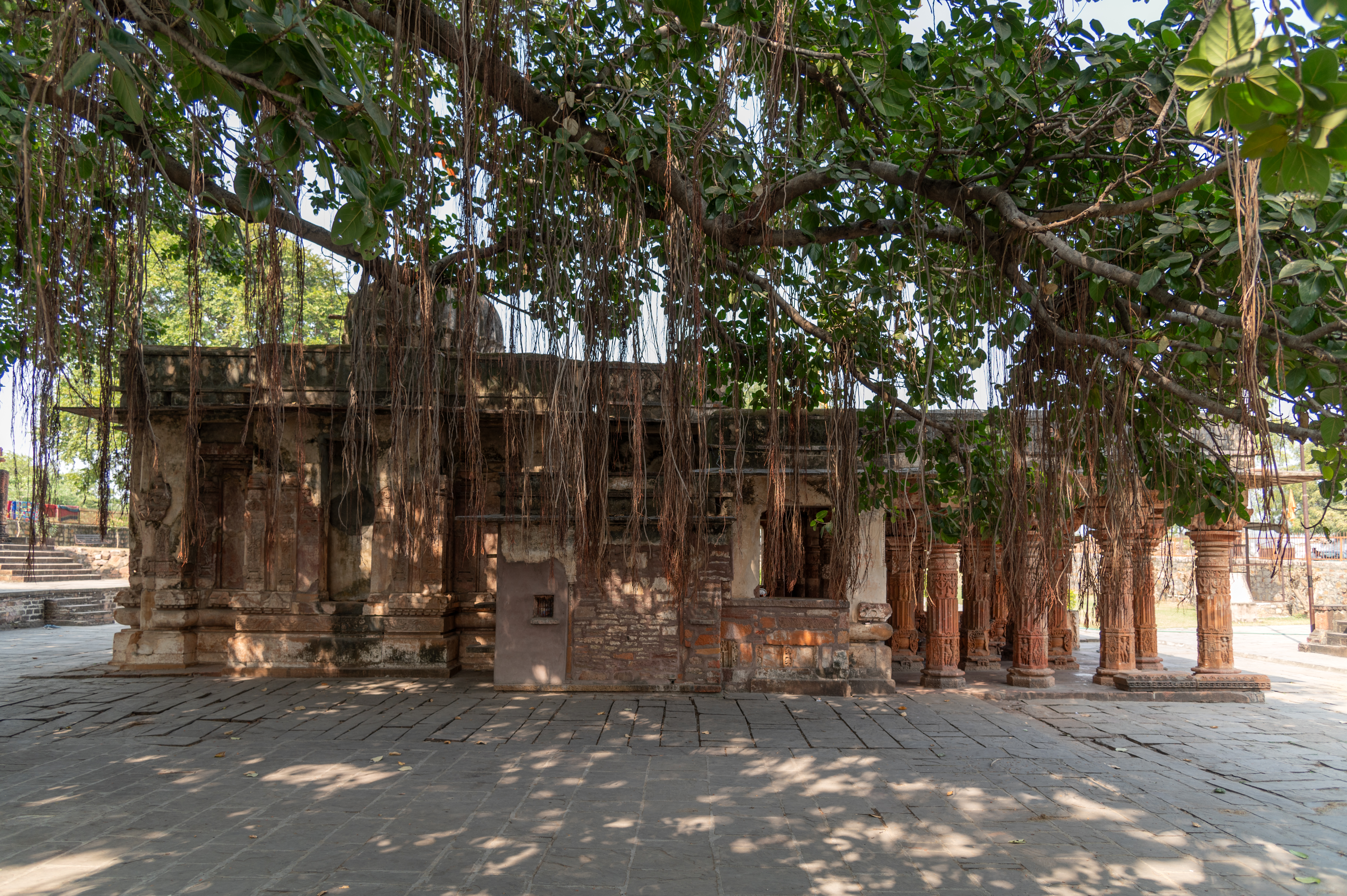 The Sitaleshwar Temple's plinth has basal mouldings and a jangha (wall) carved with bhadra (central offsets). The shikhara (superstructure) has collapsed, and it currently has a flat roof with a small dome added later at the center.