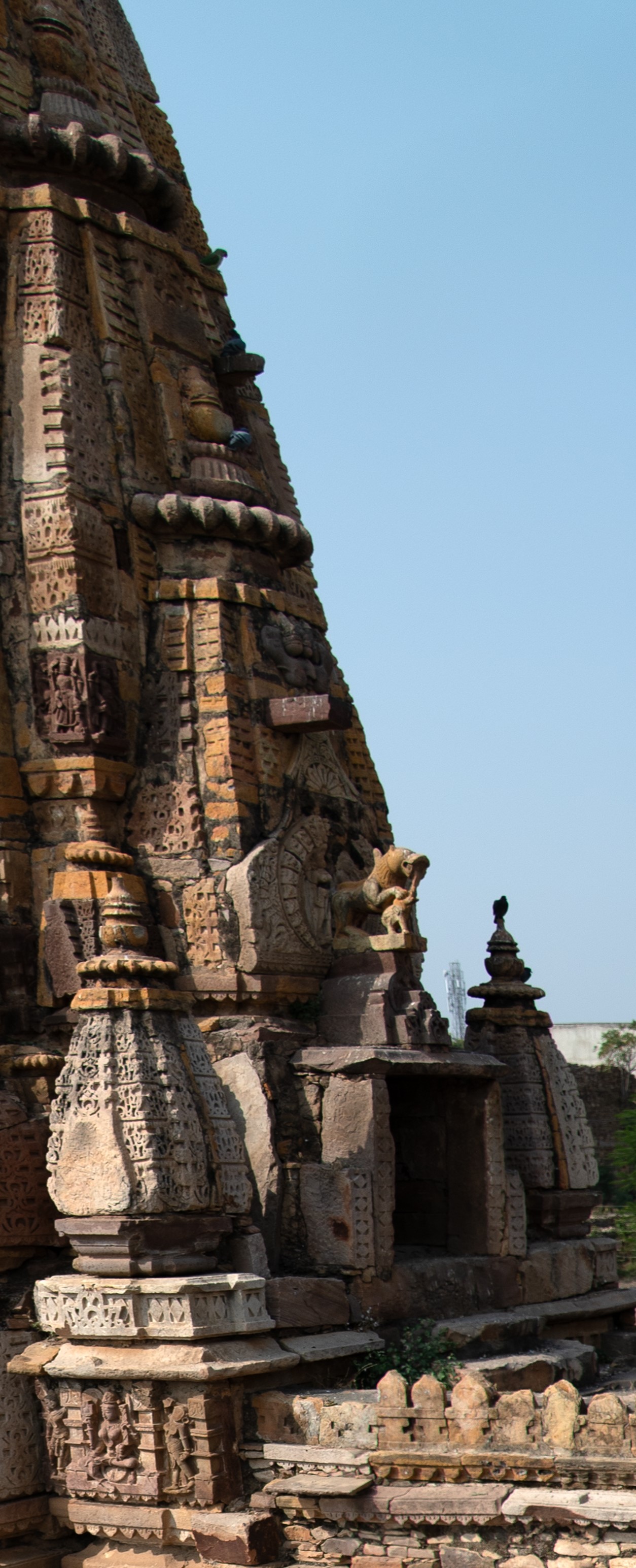 Image 23:  The frontal face of the shikhara (superstructure) reveals the placement of two half spires flanking the principal spire. At the base of the spire, a surasenaka (pediment made of chaitya dormer) adorns the structure, while a sculpture depicts a simha (lion) pouncing upon an elephant, adding a touch of regal splendour to the architectural composition.