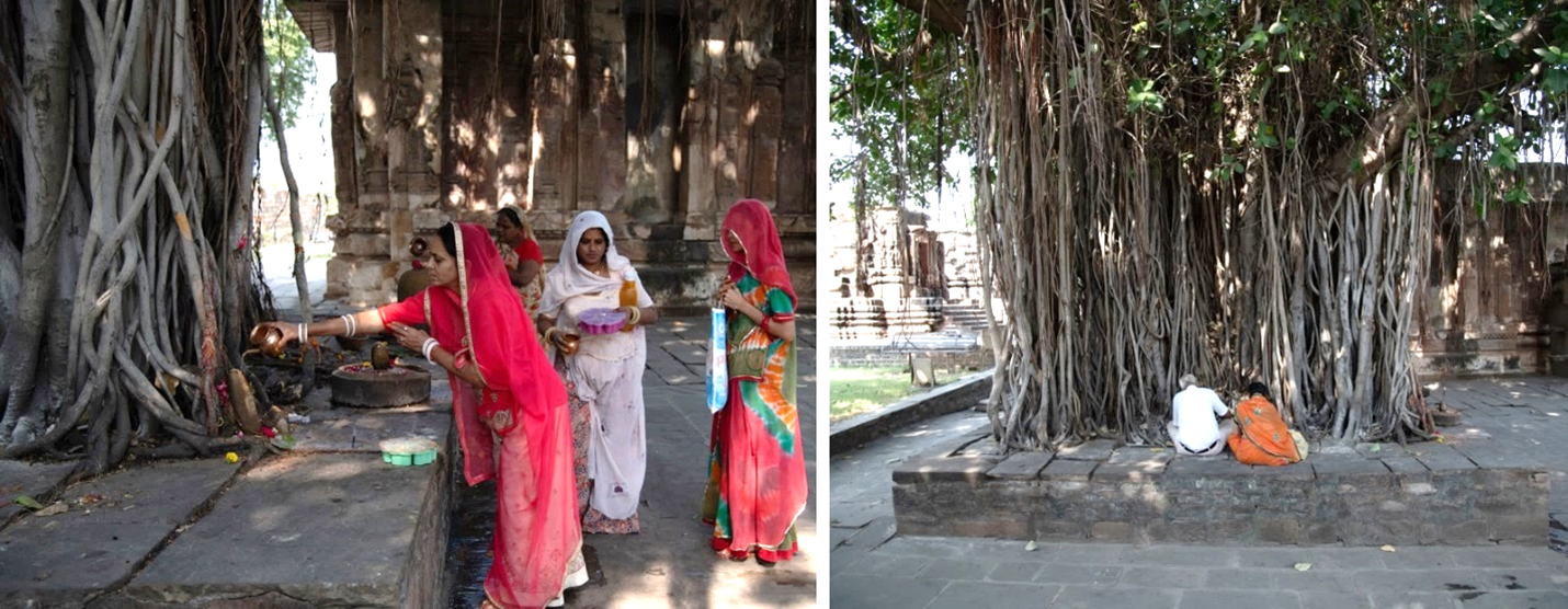 Image 4: Worship of the banyan Tree and Shiva linga (aniconic representation of Shiva) by devotees in the month of Kartik (October-November) in the Chandrabhaga temple complex.
