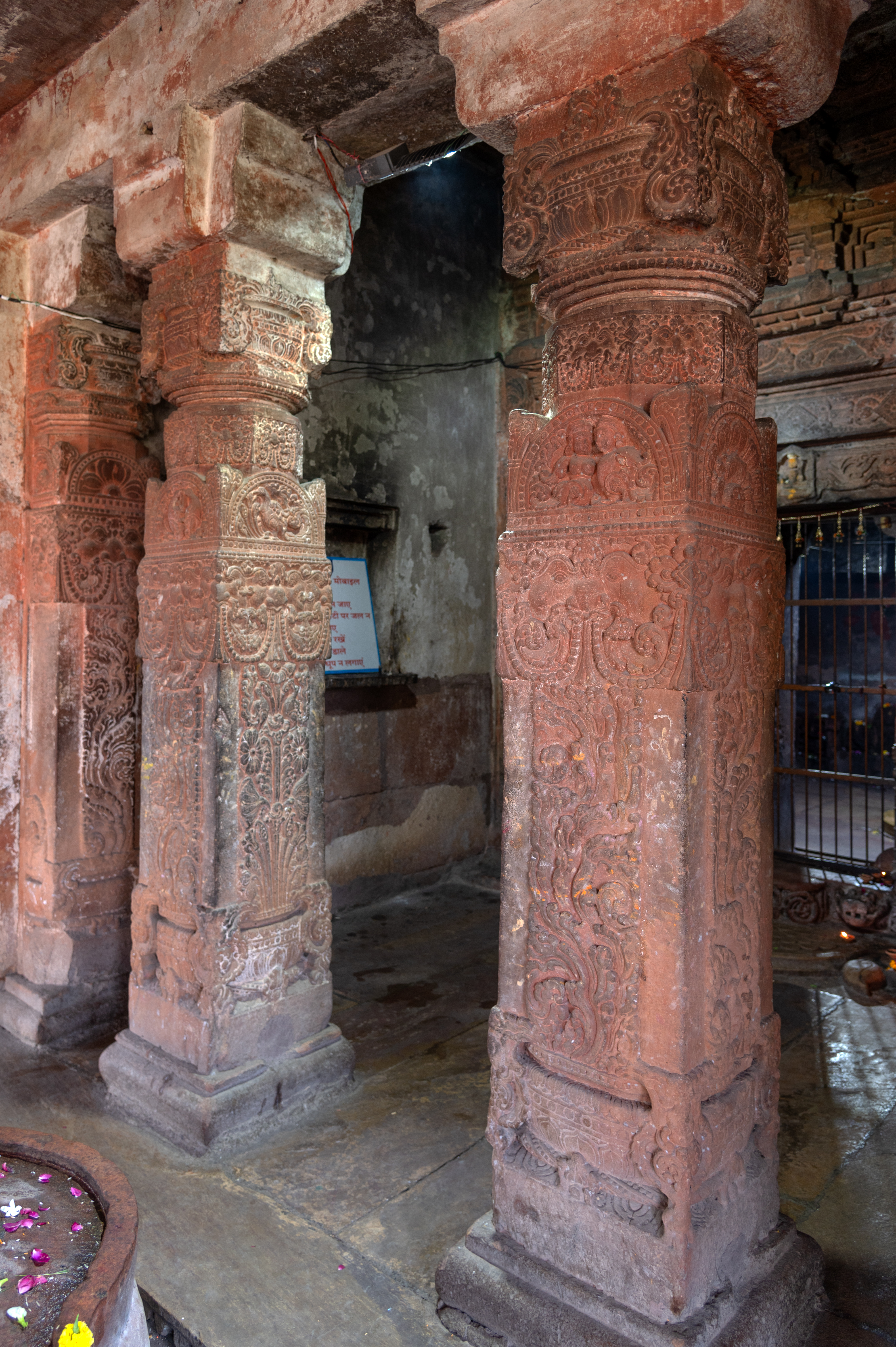 Image 6: Pillars of the antarala (vestibule) of the Sitaleshwar Temple.